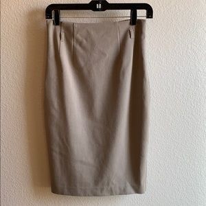 Express Pencil Skirt